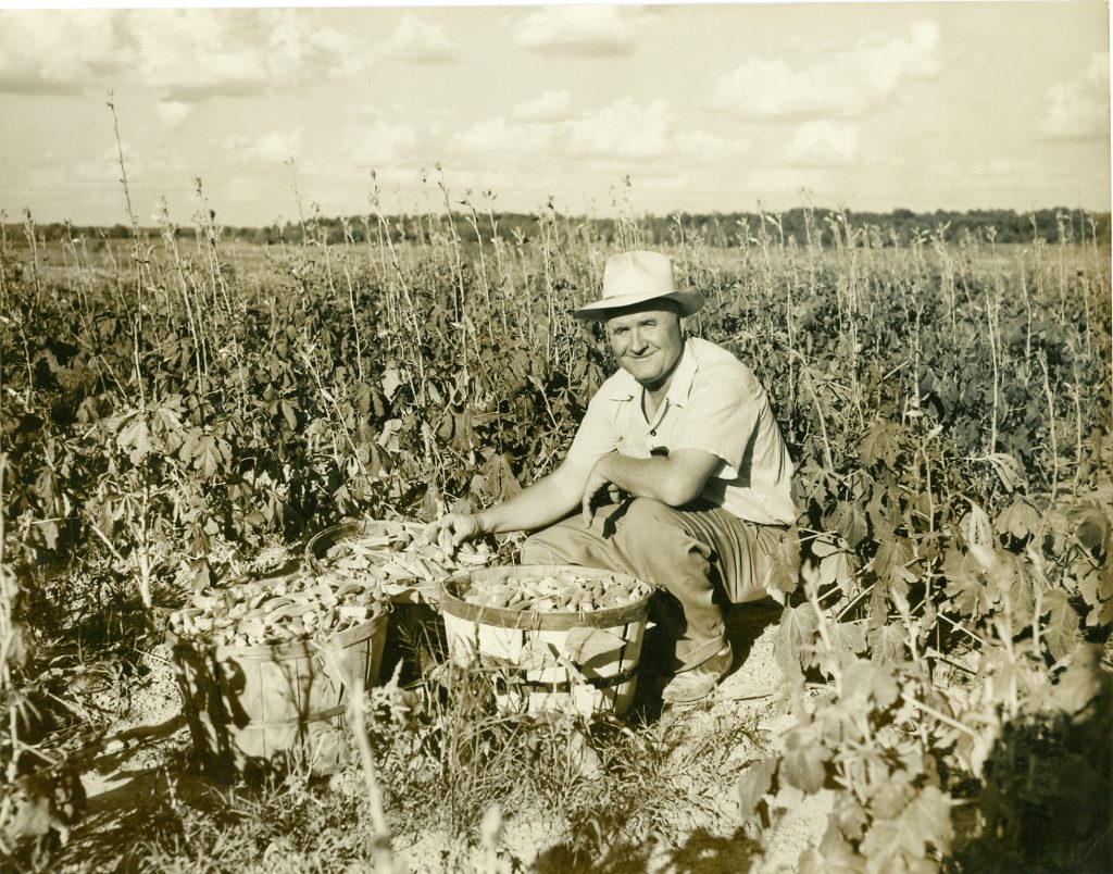 Walter P. Rawl and Sons, Inc.