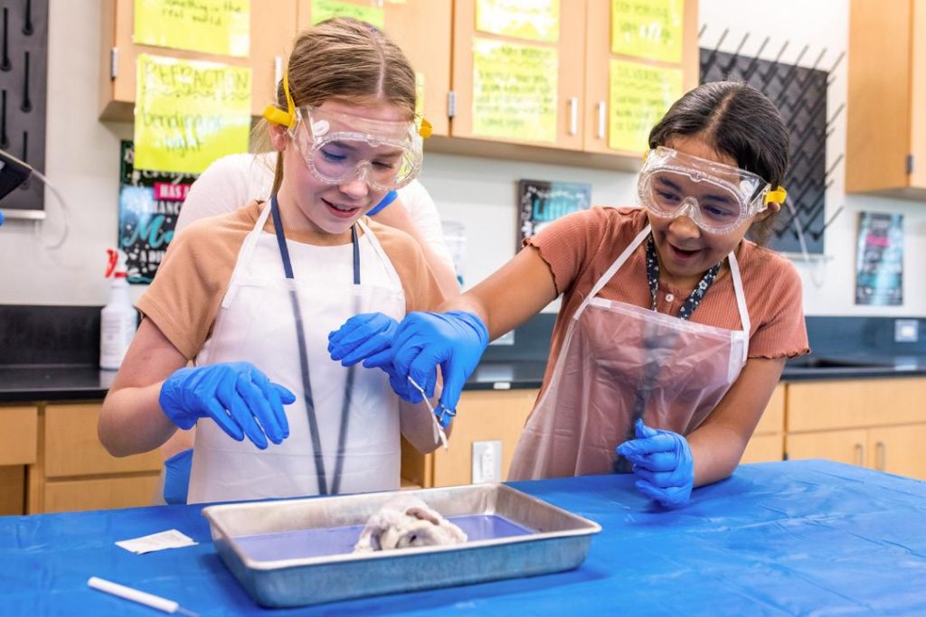 Public School Benefits Opportunities for Lexington and Richland Students