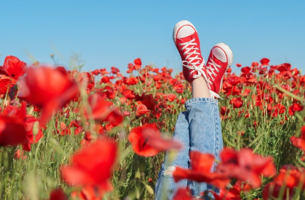 Spring has arrived!